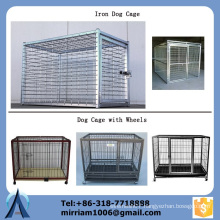 China manufacture direct sale 6' High iron dog cage